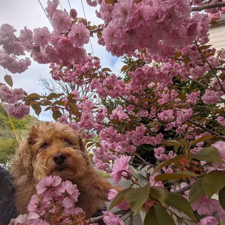 854b6753 b597 4998 99b0 0fe14a28292d 1715212969481