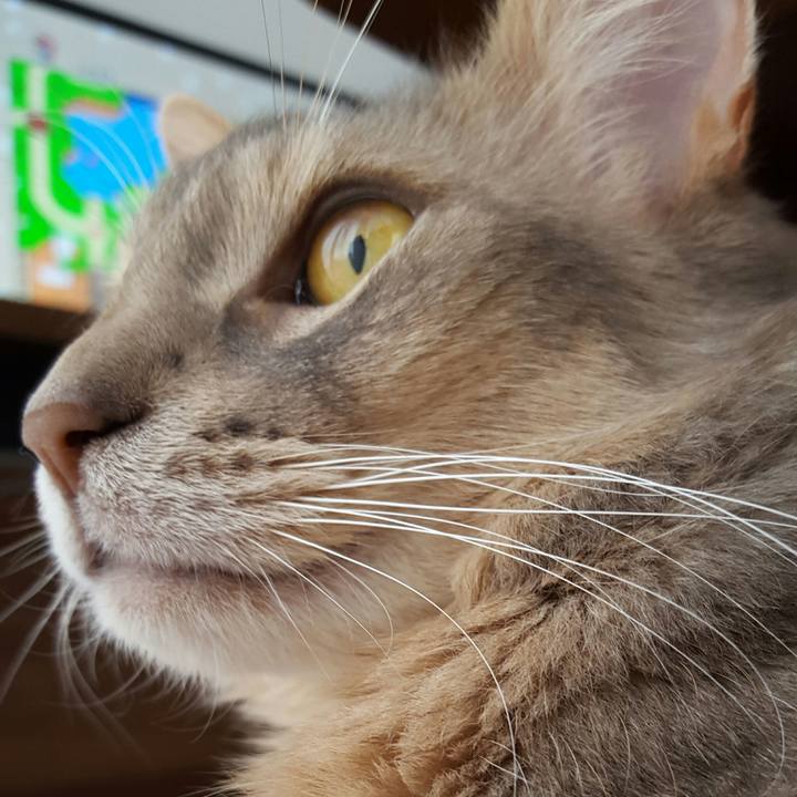 854b6d37 b20b 4ce9 b0b0 bfb968b2402f 1523078427097