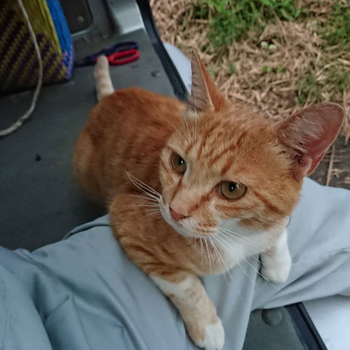 854b97d6 b5a2 497f 870b 61005e4cbf7a 1595324894965