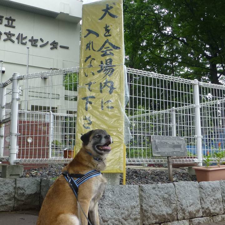 854b9a6d 4743 4dc7 9818 9fb4e84e88a0 1580218196603