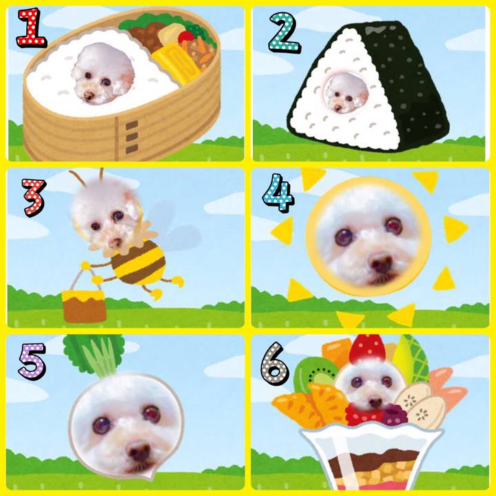 854ba9bd 38dc 47db 97f5 ca3fa0932245 1519379435538