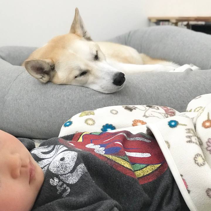 854bab27 e2a2 41cc b116 cbac40c84951 1542518591348