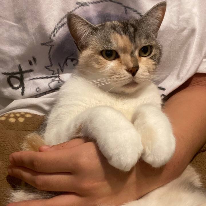 854bac34 2744 4a33 94e0 3668ffffd577 1607223314532