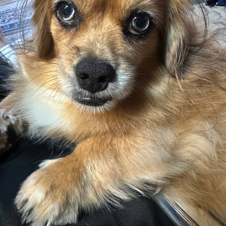 854bbb0a d933 4040 8e0d a5f883599e0b 1696454286095