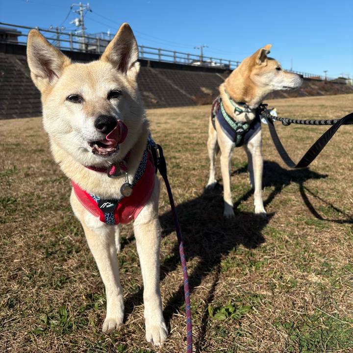 854be7f6 24fa 46fa 9840 bf2db612b75f 1764860362840