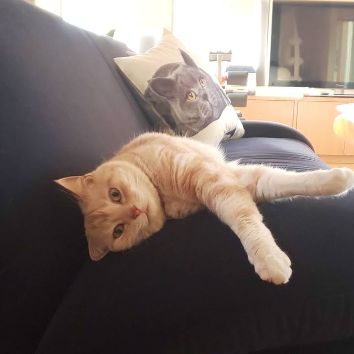 854becb7 2878 490e 92d6 2c6747812d6d 1557567029531