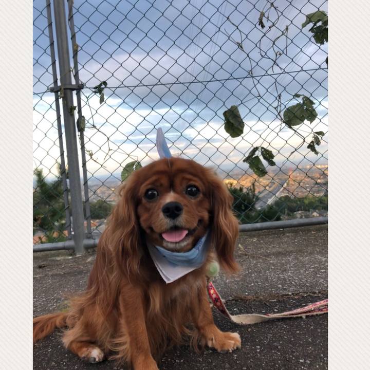 854bed54 a095 4984 9d06 c4a37cabed4c 1597147036738