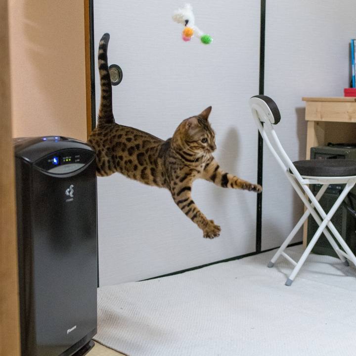 854bf923 99ce 4896 89e9 12eaf857c6b0 1521207766746