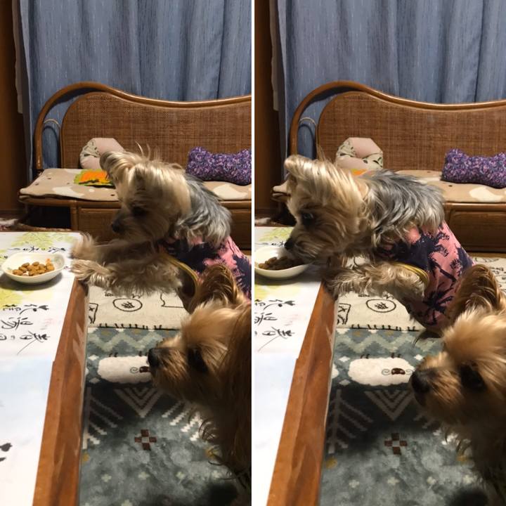 854c1346 6644 4d4c 91fe 790d4db1657f 1583920527111