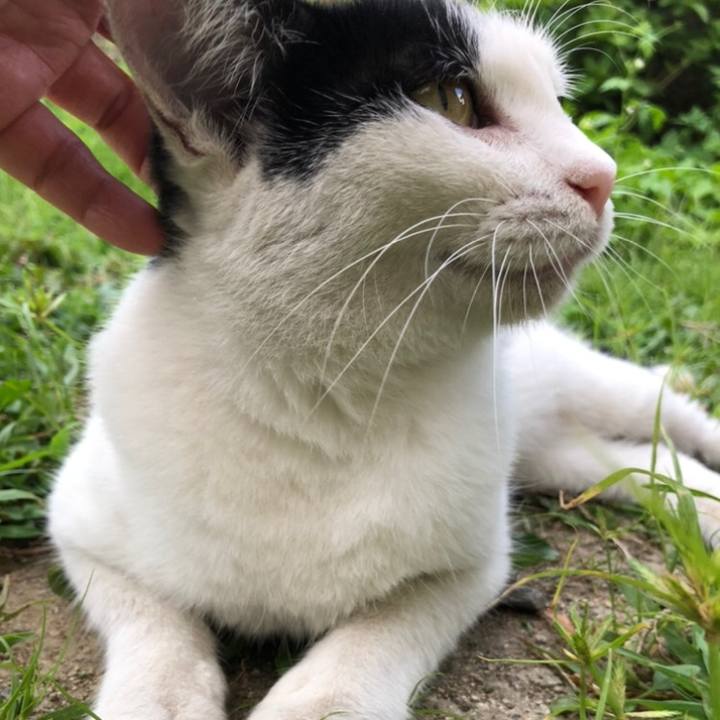 854c36cc 3067 4f6d 8ce7 989af247442d 1598442293735