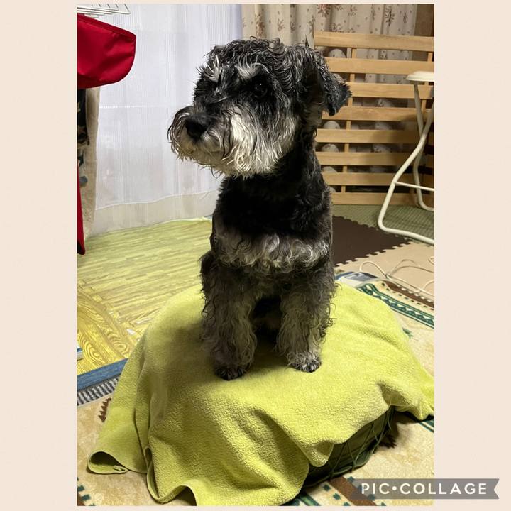 854c4382 a4da 4001 ac67 9a90ecafdfe0 1733578641129