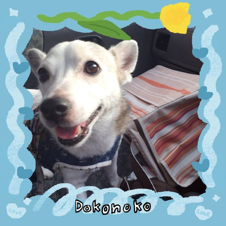 854c6a3b 7e82 461a 8475 66f2720b5930 1772325581158