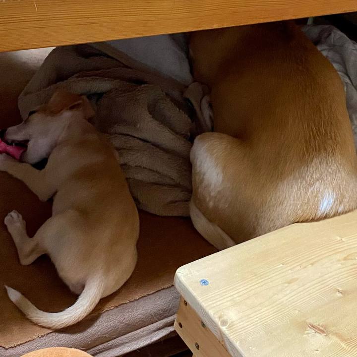 854c8800 c332 48c3 a0ed 53520e029636 1661990956884