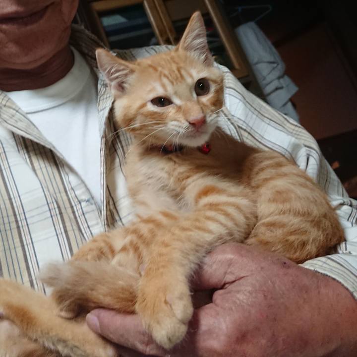 854c961e 2485 4f2c 946c 98b253f9d402 1632053284251