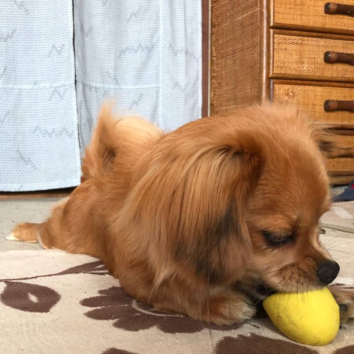 854cbd71 a8db 4d52 8c48 839b644888f6 1511056398253