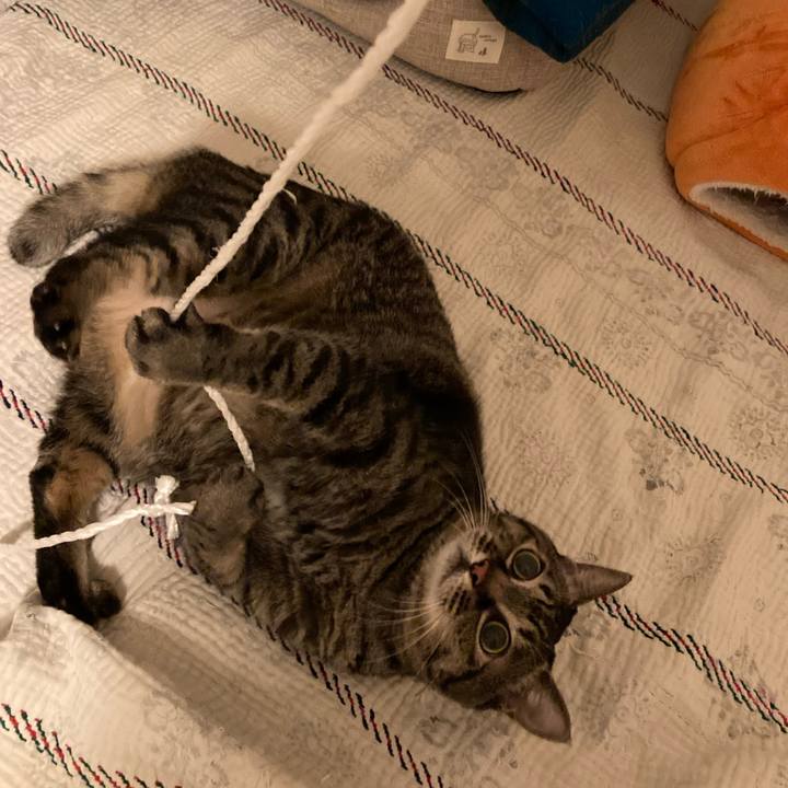 854cbf5f 0f19 4783 a843 7a42a68a61f4 1733837465547