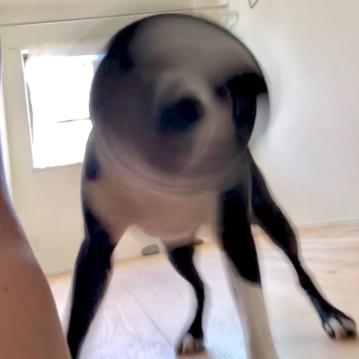 854cc10e bdb9 4a8e 8135 8038d42a33b8 1532997888750