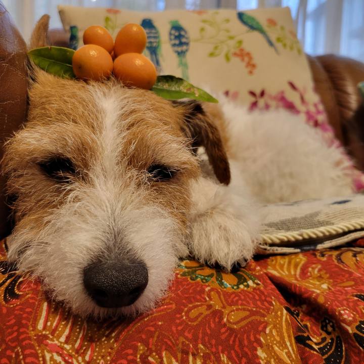 854cda99 2a9b 42c6 8e73 b492c3a70ee8 1680944142636