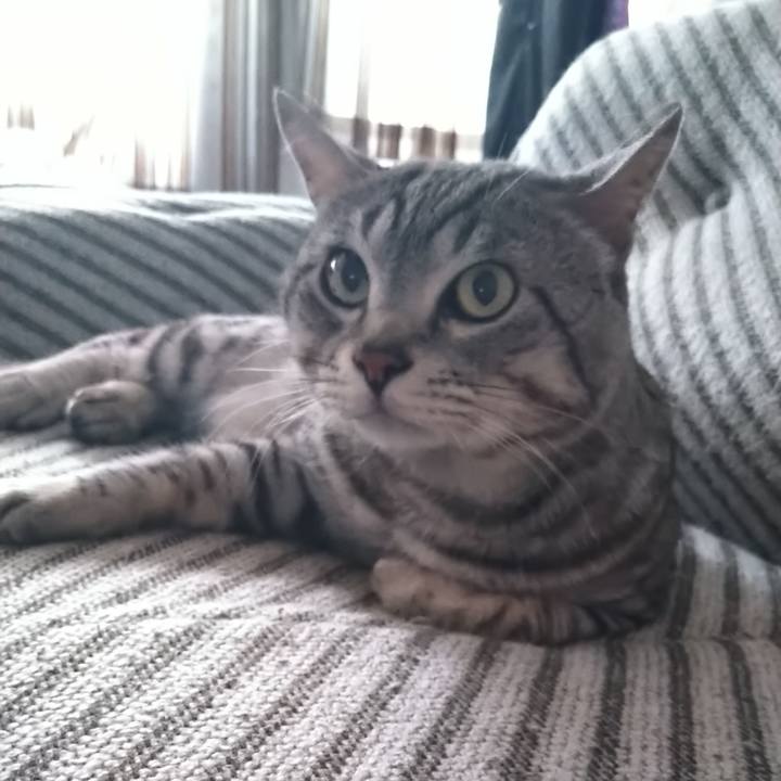 854cf33a 4a81 473c a9f7 bf0119f265a7 1690277598014