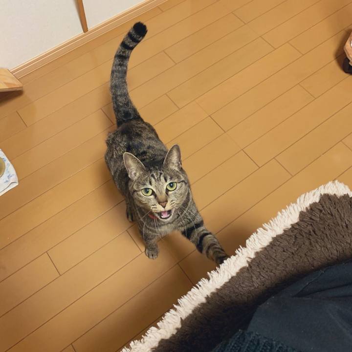 854d0bfa 2b00 45c7 b16e ee35a2501887 1580369149419