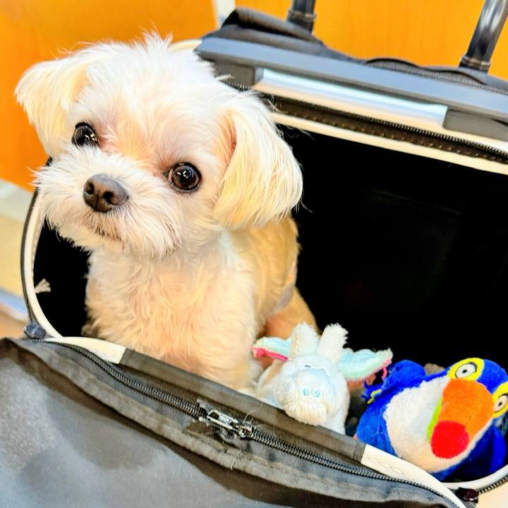 854d6ef3 6c66 4956 8fcd fe4ec66dec96 1707208945169