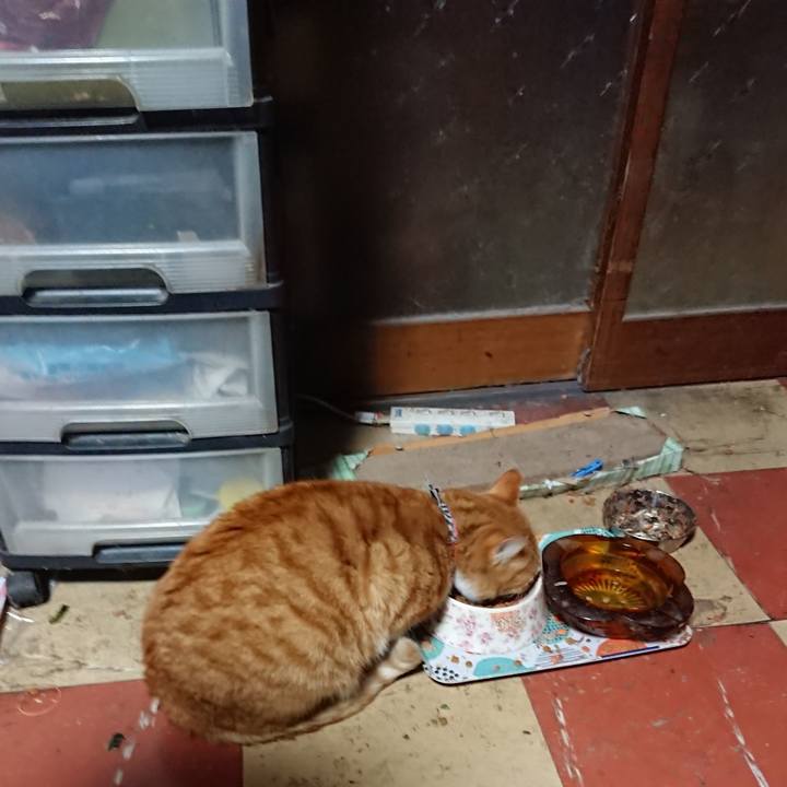 854dada3 3e0c 48ea a959 7280aa7b2b3a 1575834600040