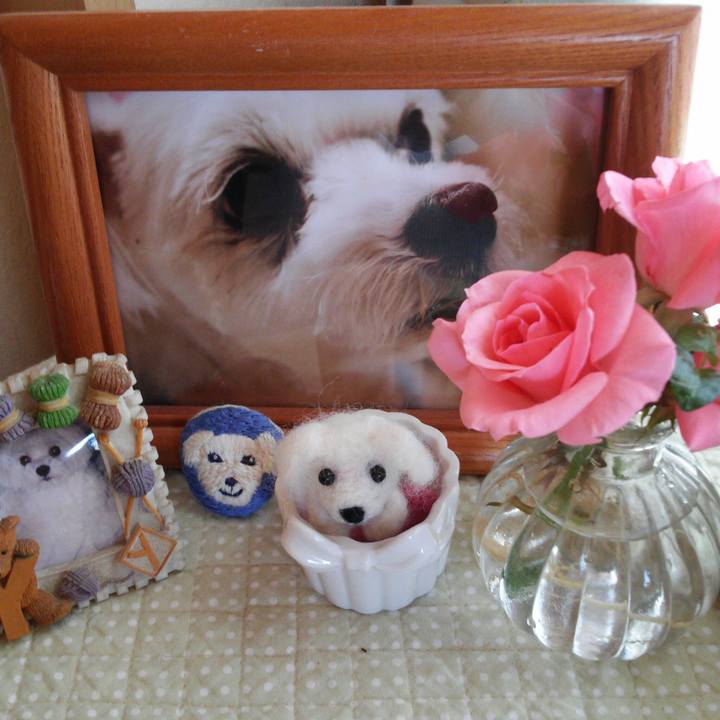 854dc382 b9a5 4c93 9a4d 1f763502a85c 1527114820108