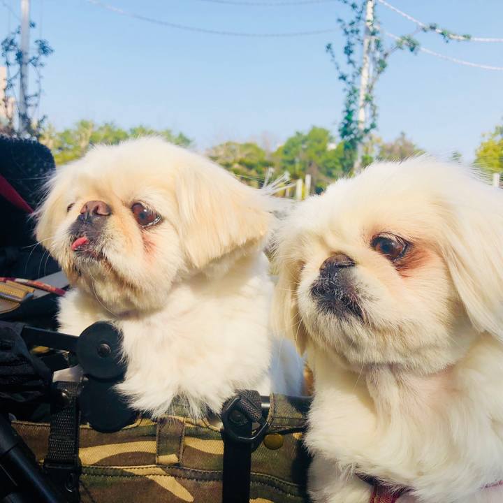 854dcc21 fd0b 4234 8c95 239f82372360 1584800101541