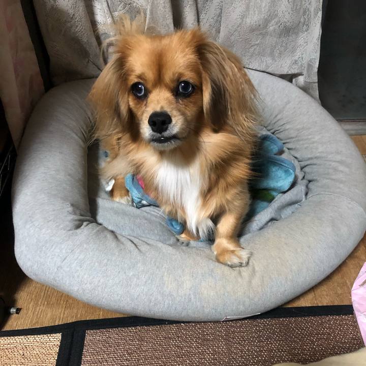 854dd915 85c8 444f aeb6 5f1503957eac 1542404185415