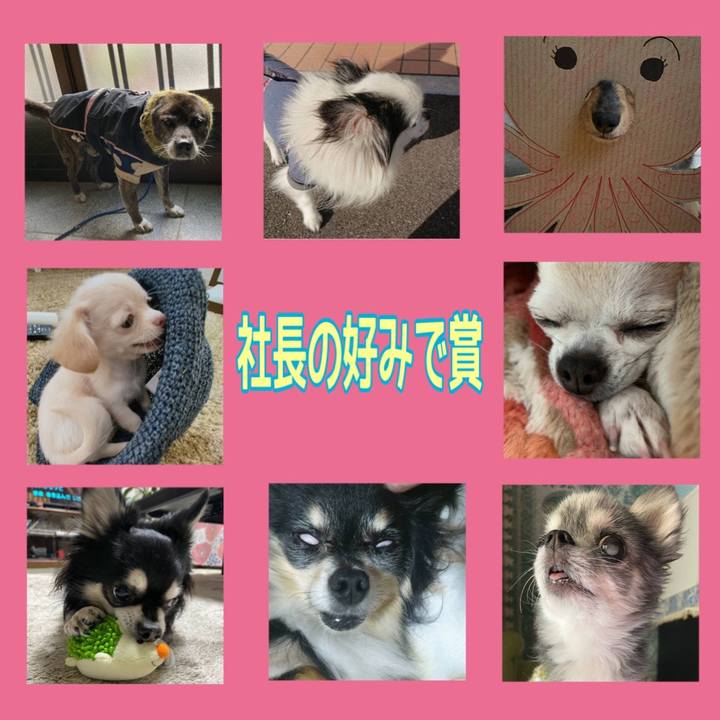 854dfb6e fc8f 495b af36 7843c08fc4cd 1676770649568