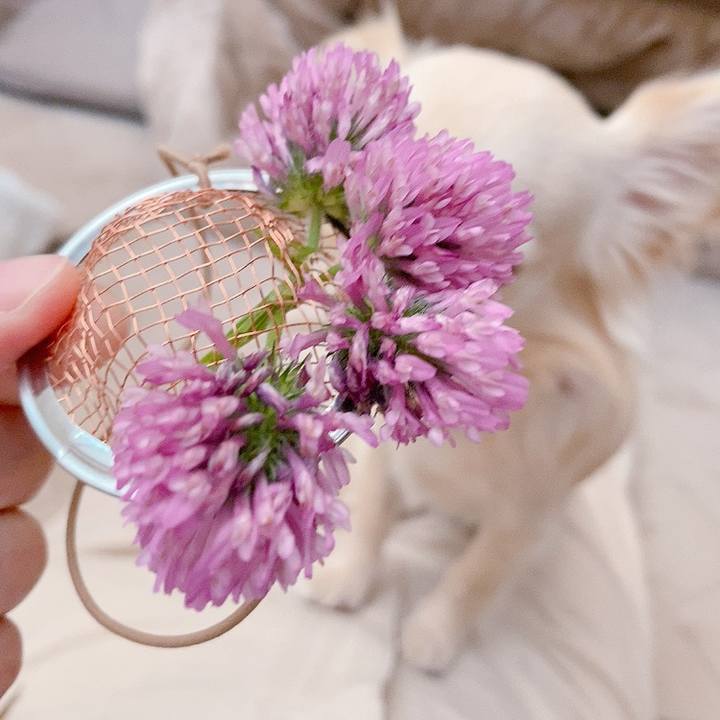 854e6e83 4384 4361 a7fa 3e7af2ce757c 1619239064303