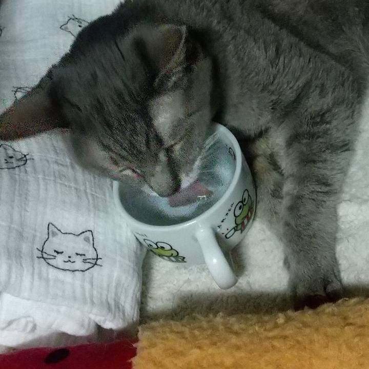 854e85fa 7868 45e8 baeb fd814ef23a1d 1698149646216