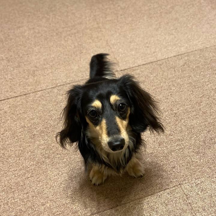 854ebf82 8eed 432c 86e7 665aac58ebde 1708517371509