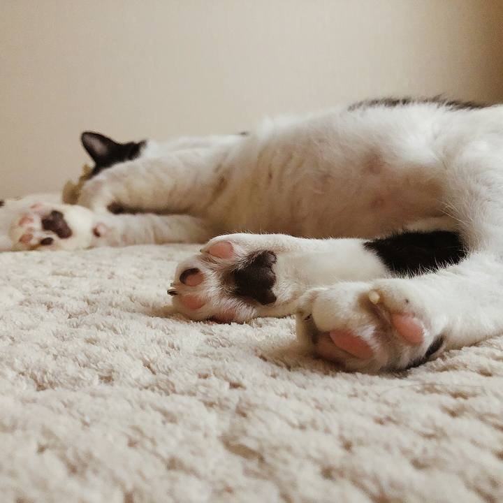 854ec085 453d 4280 a438 63621e0bb94d 1634048650749