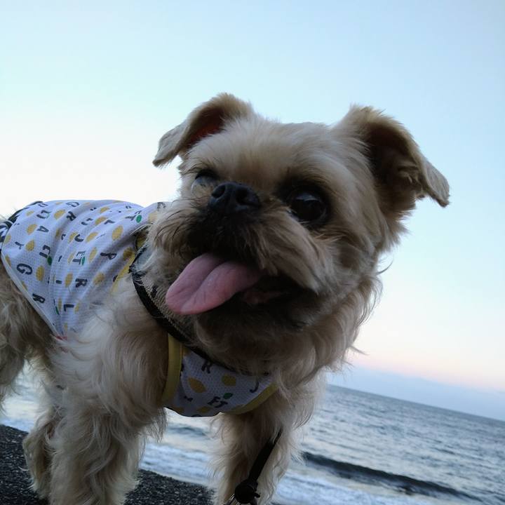 854ed7f6 6834 4607 9c56 cce8e4bdd7ec 1656170727532