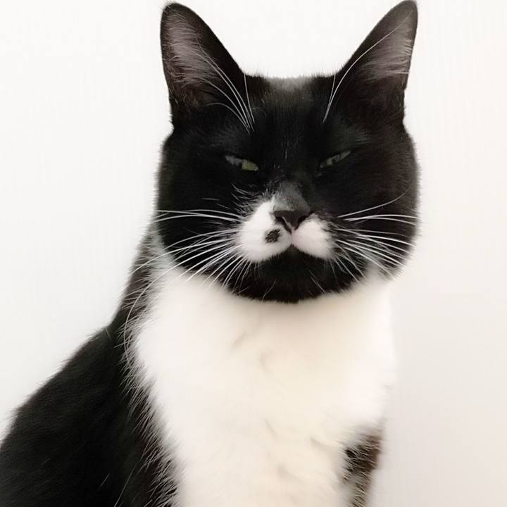 854edb7c 675f 465b 8b4c 6fe400ff238c 1547396525470