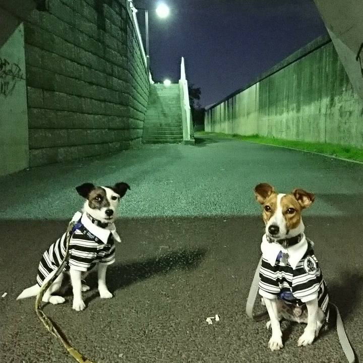 854ee018 015d 4075 bbd3 9b0baec0da05 1539863635976