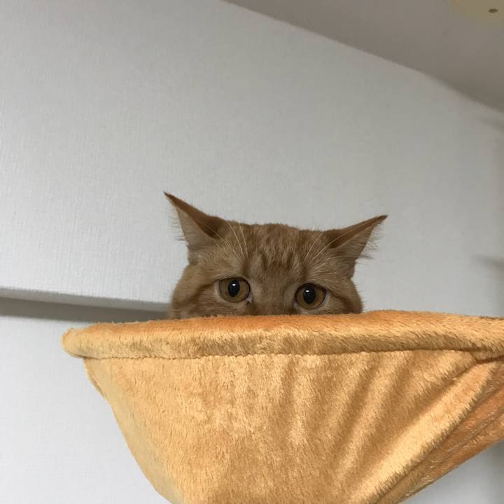 854efeaf 0e9b 4730 bc0d 0f32cacbcadf 1515595098224