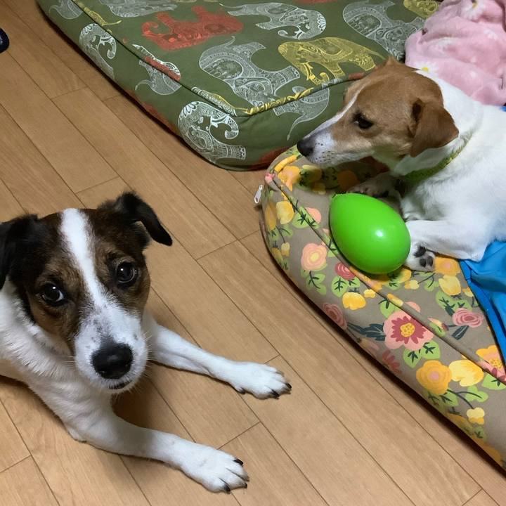 854f00f0 d012 45a1 92eb 22074ac40fdf 1596537421374