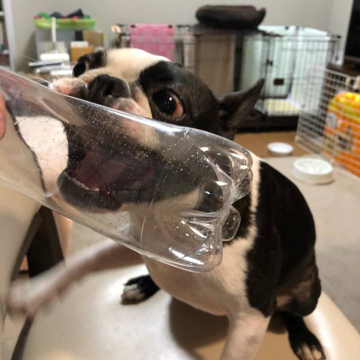 854f0140 f04b 4749 a119 9097aa9f800b 1584871158978