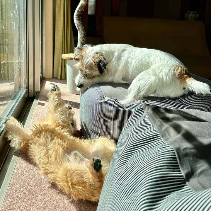 854f05b4 13d6 4901 97f8 4387df1be729 1710747876708