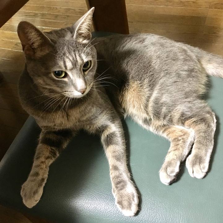 854f2f6d e385 4e4e a586 5e2975149106 1517011459472