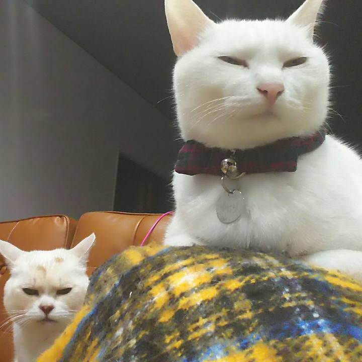 854f5936 bd4a 4bef 82ff 6924c73cd3f7 1551367324986