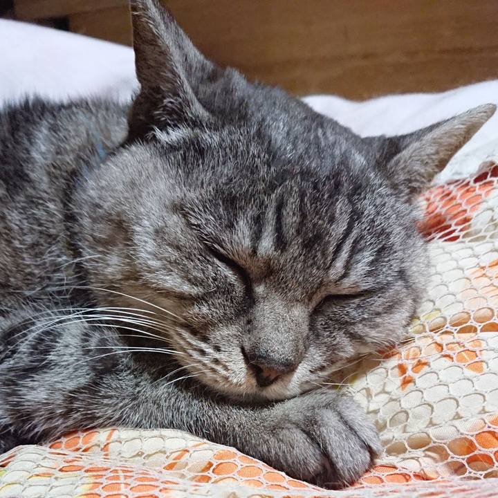 854f683e 3952 46d0 88f0 4e15b2ef8c82 1570797460453