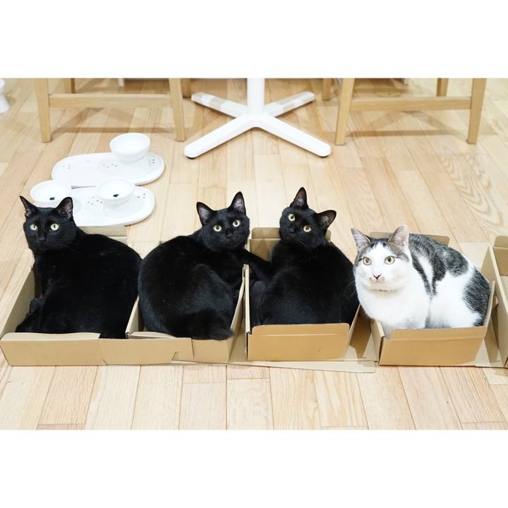 855058e7 2f3a 4bbd 8d38 ab5770b88abb 1561039667252