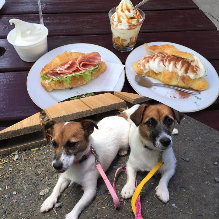 85507224 99ab 4945 bd17 e7c760d5f81f 1534561396400