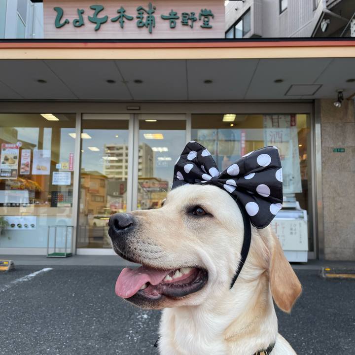 85507c1a de4b 4991 bebe b26537e7d43c 1643449556088