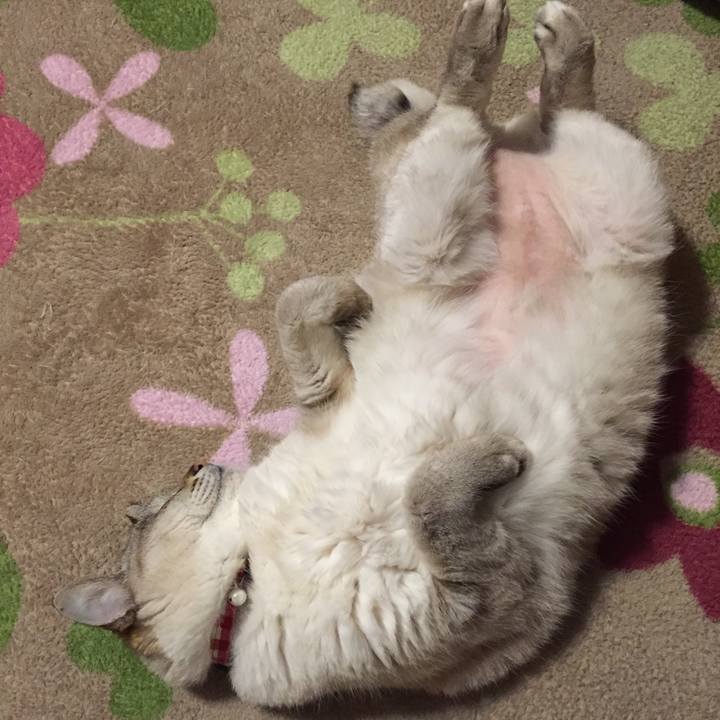 85508ffb 3b27 416d 8351 b2c589cfbb53 1520336854823