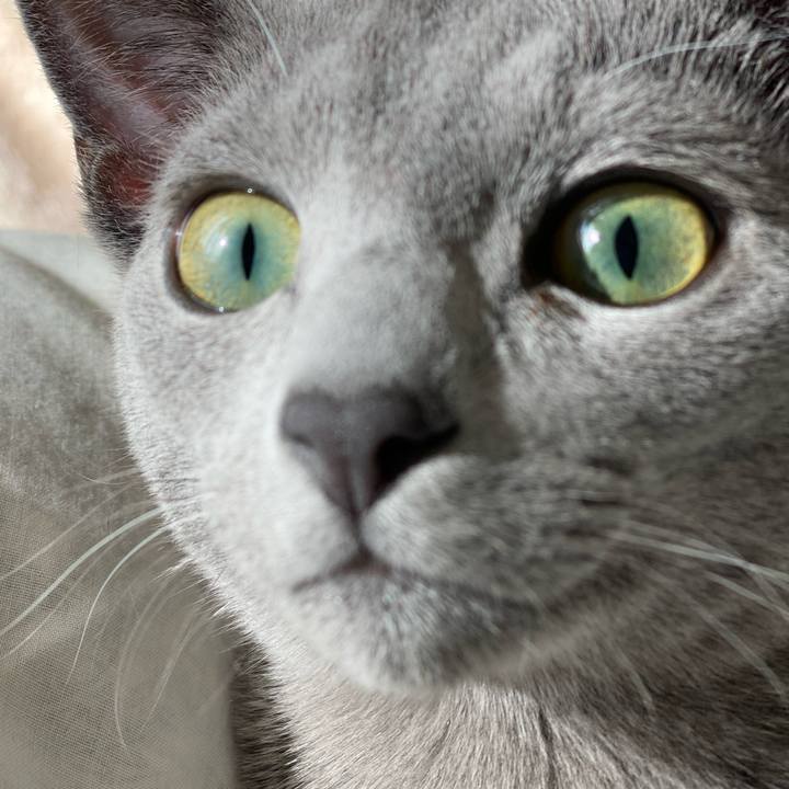 85509688 ab37 4863 b06a 23c2e0d77c9d 1610584618375