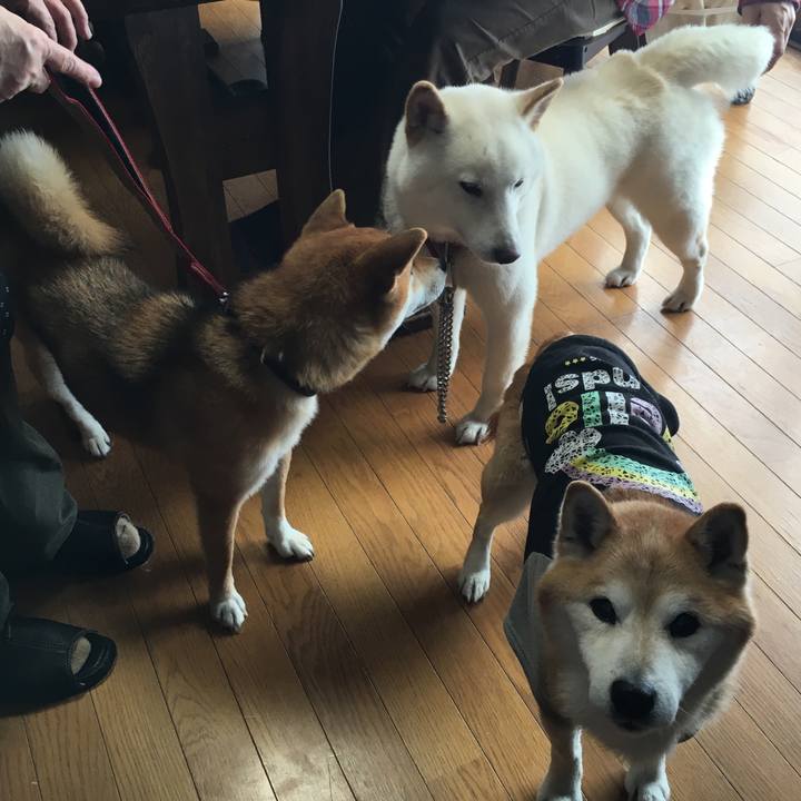 8550aa5c f18d 40f8 af14 6eabad35a63a 1534896364962